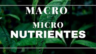 MACRO Y MICRONUTRIENTES PARA NUESTRAS PLANTAS NPK [upl. by Conchita657]