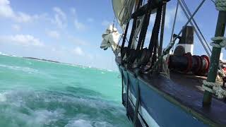 Schooner Appledore II Key West [upl. by Basilius311]