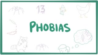 Phobias  specific phobias agoraphobia amp social phobia [upl. by Aruon]