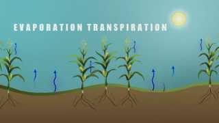 Evaporation and Transpiration 720p [upl. by Ecurb686]