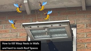 How to Kill Wasp Nests in Walls and hard to reach Roof Spaces [upl. by Herbst]