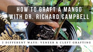 How to Graft a Mango Tree w Dr Richard Campbell [upl. by Nivets463]