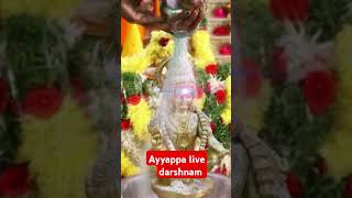 Ayyappa live darshanam tamil song tamilsong ayyappabhakthisongs [upl. by Anerdna]