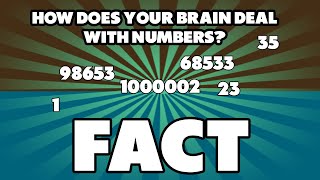 Left Brain vs Right Brain How are Numbers Counted FACT [upl. by Claudina]