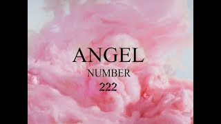 Angel Number 222 Meaning Shorts [upl. by Myrvyn]