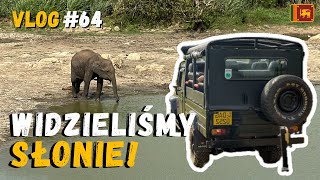 SRI LANKA  Sigiriryi  SAFARI z elefantami  To było mega doznanie   ODLUDKIVLOG 64 [upl. by Ahtelat]