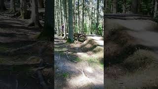 Flowtrail Stromberg Part 3 shorts bike mtb mtbjumps trails [upl. by Ettelorahc]