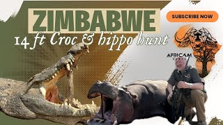 AfriCam  14 ft Monster Crocodile amp Hippo in Zimbabwe [upl. by Ytak]