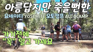 신나게 놀다 죽을뻔했어요 미국 국립공원 3대장 요세미티 Yosemite와 럭셔리 글램핑 오토캠프 Autocamp 에서 일어난 이야기 꼭 알고가세요 [upl. by Rogozen]