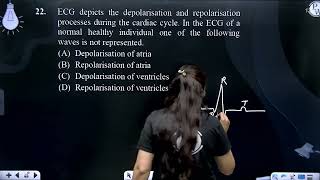 ECG depicts the depolarisation and repolarisation processes during the cardiac cycle In the ECG [upl. by Oakie]