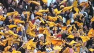 Pittsburgh Steelers 2009 Renegade Remix ORIGINAL [upl. by Westley330]