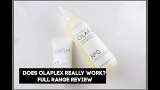 DOES OLAPLEX REALLY WORK [upl. by Hayne]