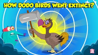 The Mysterious Extinction Of Dodo Birds  Story of Dodo Birds  Extinct Birds  The Dr Binocs Show [upl. by Assiralk733]