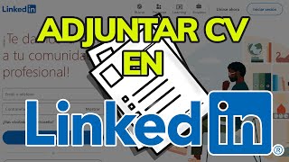 Cómo hacer un currículum si no tienes ninguna experiencia  Insider Teach [upl. by Marylynne701]