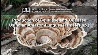 Production of Cellulase and Xylanase Using an Amazon Fungus Trametes sp [upl. by Azil]