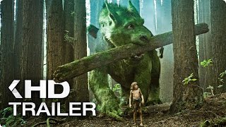 02 Something Wild  Lindsey Stirling amp Andrew McMahon Pete’s Dragon Original Motion Picture Sou [upl. by Bekha652]