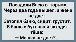 Как Вася из Тюрьмы Вышел Сборник Свежих Анекдотов Юмор [upl. by Gare]