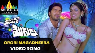 Yamudiki Mogudu Video Songs  Orori Magadheera Video Song  Allari Naresh  Sri Balaji Video [upl. by Berri287]