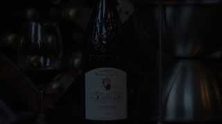 Gigondas Domaine Saint Gayan  Yapp Brothers One Minute Review [upl. by Naened247]