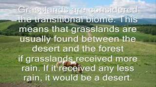 Grassland Biome Project [upl. by Yann]