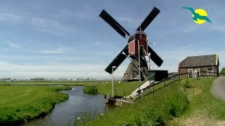 HOLLAND FLANDERN FLUSSKREUZFAHRT  Mit MS ALINA auf dem Rhein ins Land der Tulpen Käse amp Holzschuhe [upl. by Halle]