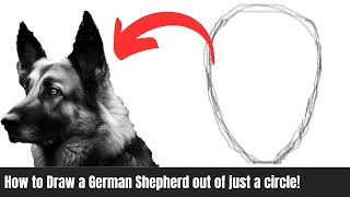 How to Draw German Shepherd  How To Sketch German Shepherd  German Shepherd [upl. by Adarbil391]