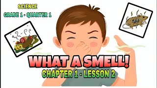 What a smell SCIENCEGrade 1 education science chapter1 educational elementary [upl. by Remat]