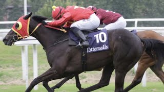 TOMIKO Wins 2024 Oaks d’Italia [upl. by Lairbag]