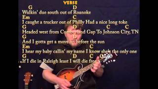 Wagon Wheel  Mandolin Cover Lesson in G with ChordsLyrics [upl. by Nayr303]