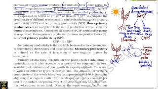 EcologyChapter 14Biology class 12th ncertLine by line ncert explanation [upl. by Anneirda231]