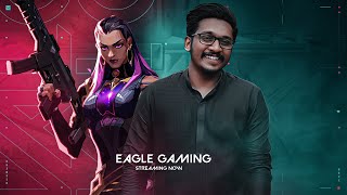 DAY 8  NEW ACT  EAGLE GAMING  18  STREAMS [upl. by Parthena]