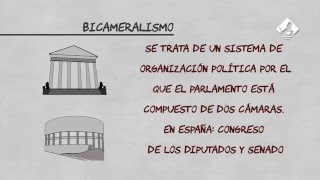 Jerga Parlamentaria Bicameralismo [upl. by Akcimehs]