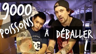 9000 POISSONS DAQUARIUM À DÉBALLER  VLOG TOOPET [upl. by Nohsav]