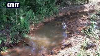 Part 1  Mosquitoes Breeding habits and how to control 2013 [upl. by Charissa]