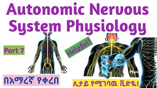 Autonomic Nervous System Physiology NS module Part 7 New Ethiopian Curriculum in Amharic Speech [upl. by Bricker45]