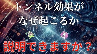 【ゆっくり解説】トンネル効果の仕組み、本当に理解してますか？【目で見てわかる！シミュレーション量子力学】 [upl. by Donn]