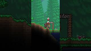 The BEST GUITAR in TERRARIA terraria terrariashorts terraria14 TerrariaIvy TerrariaGuitar [upl. by Masuh]