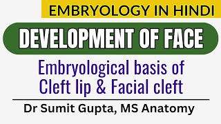 Development of Face  Cleft Lip  Embryology in Hindi [upl. by Rockefeller29]