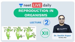 Reproduction In Organisms  Lecture 2  Unacademy NEET  LIVE DAILY  NEET Biology  Dr Sachin Sir [upl. by Ohara]