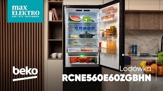 Lodówka Beko RCNE560E60ZGBHN – Poznaj nowoczesną technologię chłodzenia 😮❄ [upl. by Akceber]