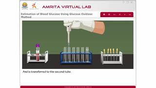 Estimation of Blood Glucose by Glucose Oxidase Method [upl. by Nodnart]