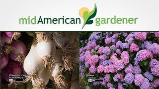 MidAmerican Gardener  July 26 2018 [upl. by Consalve]