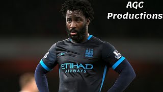 Wilfried Bonys 10 goals for Manchester City [upl. by Erland]