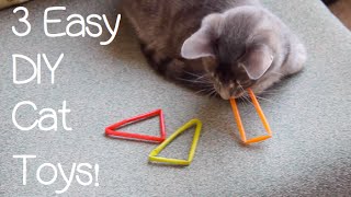 3 Easy DIY Cat Toys [upl. by Vaden]