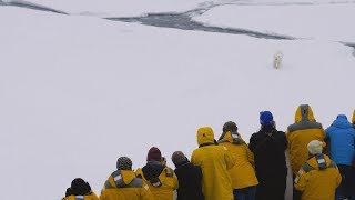 Spitsbergen An Unforgettable Arctic Voyage [upl. by Laet389]