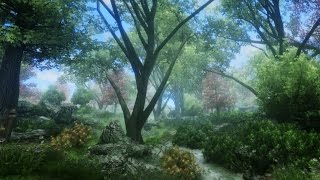 Modded Oblivion  2017  The River Ethe [upl. by Jeannine984]