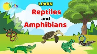 Reptiles Names For kids in English  Learn Reptiles and Amphibians for Children  Amphibians Names [upl. by Uird562]