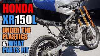 HONDA XR150L  SPEC OVERVIEW and POTENTIAL UPGRADES for your reference [upl. by Retsehc]