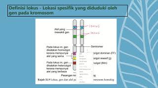 BIOLOGI TINGKATAN 5 KSSM BAB 113 GEN DAN ALEL [upl. by Oleg]