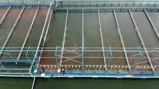 Aerial view of In pond Raceway System IPRS Drone view of aquaculture system [upl. by Winifield]